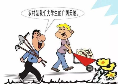 考公、考研難度高，應(yīng)屆生你還有4種選擇